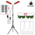 Revolutionary LED Red Light Therapy Lamp for Ultimate Pain Relief and Skin Rejuvenation - Infrared Light Device (660nm & 850nm)